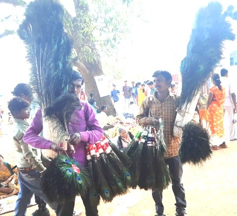 Peacock from Rajasthan, businessmen from UP and customers from Bastar