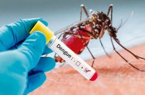 Dengue patient found in Gongla