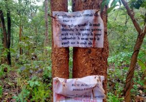 Naxalites killed villager in suspicion of police informer