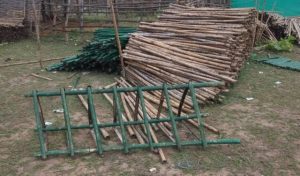Wood smuggling in the border decreased by 90 percent
