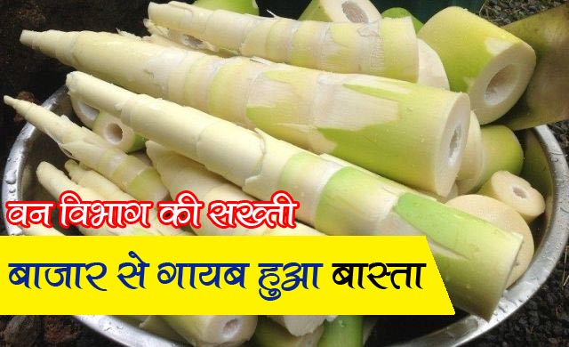 Forest department strictly prohibits cutting and selling of bamboo shoot