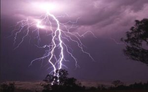 11 cattle dead in Bijapur due to lightning strikes