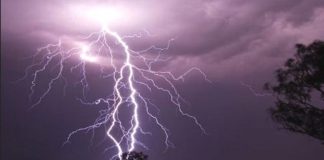 11 cattle dead in Bijapur due to lightning strikes