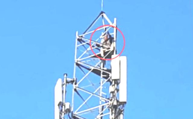 The lover climbed the mobile tower fiercely
