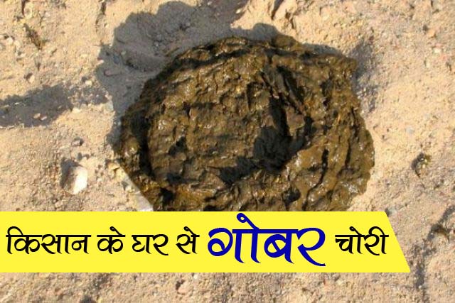 'Dung' stolen in Chhattisgarh