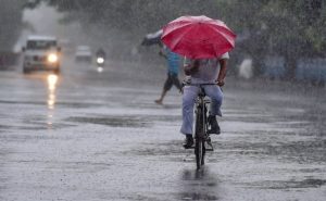 Bijapur district received 93 mm of rain in one day