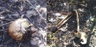 Male Skeleton found in Sukma forest