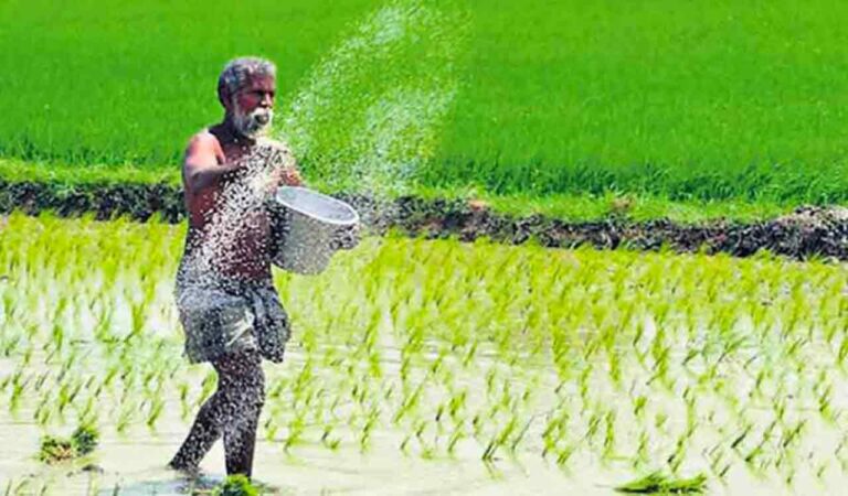 CG Farmers, Farmers News, CG Farmers News, Paddy Farmers, CG Paddy Farmers