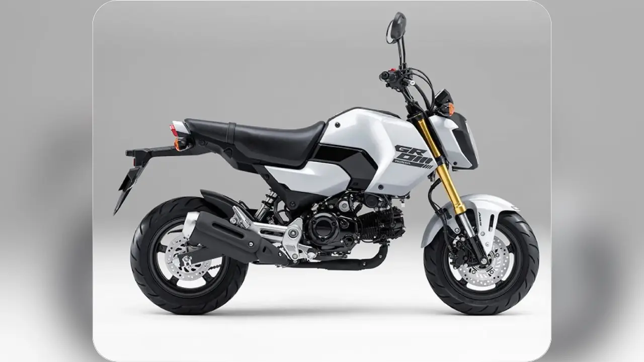 2024 Honda Grom Bike