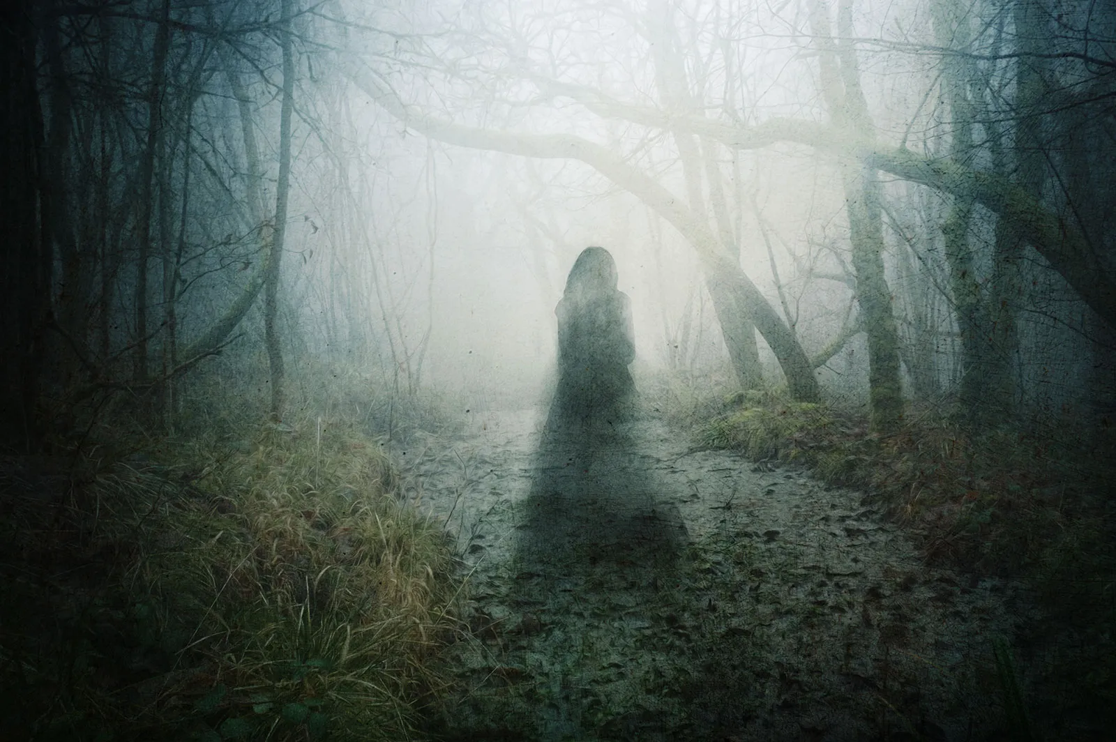 Paranormal Signal